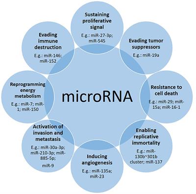 microRNAs Make the Call in Cancer Personalized Medicine